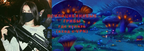 дживик Козловка
