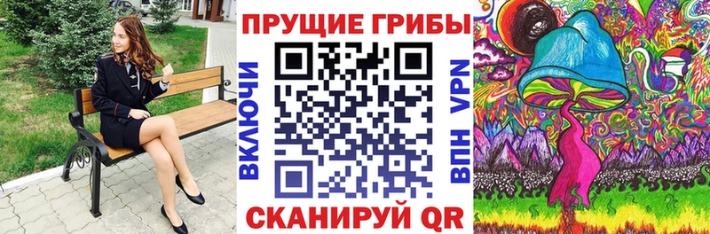 Псилоцибиновые грибы Magic Shrooms  Купить закладки  Грязовец 